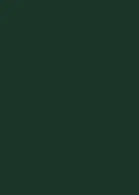 Однотонные декоры ЛДСП EGGER лдсп зеленый еловый u699 st9 2800 х 2070 х 16 мм, egger