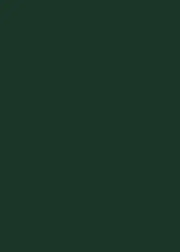 Однотонные декоры ЛДСП EGGER лдсп зеленый еловый u699 st9 2800 х 2070 х 16 мм, egger